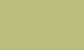 RAL 1000 - Green beige 