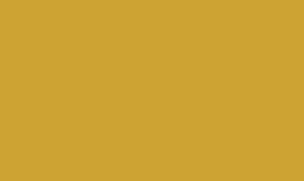 RAL 1004 - Golden yellow 