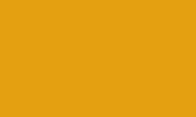 RAL 1006 - Maize yellow 