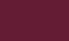 RAL 4004 - Claret violet 